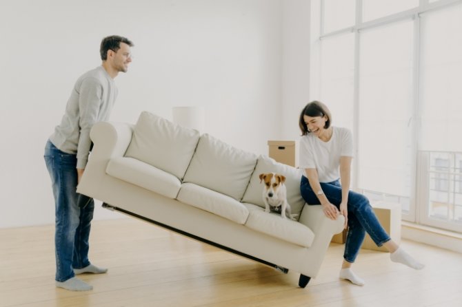 happy-couple-carry-modern-white-sofa-with-dog-toge-2022-11-07-23-31-52-utc.jpg